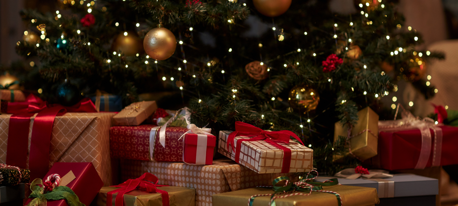 Macadamia Care Christmas celebrations