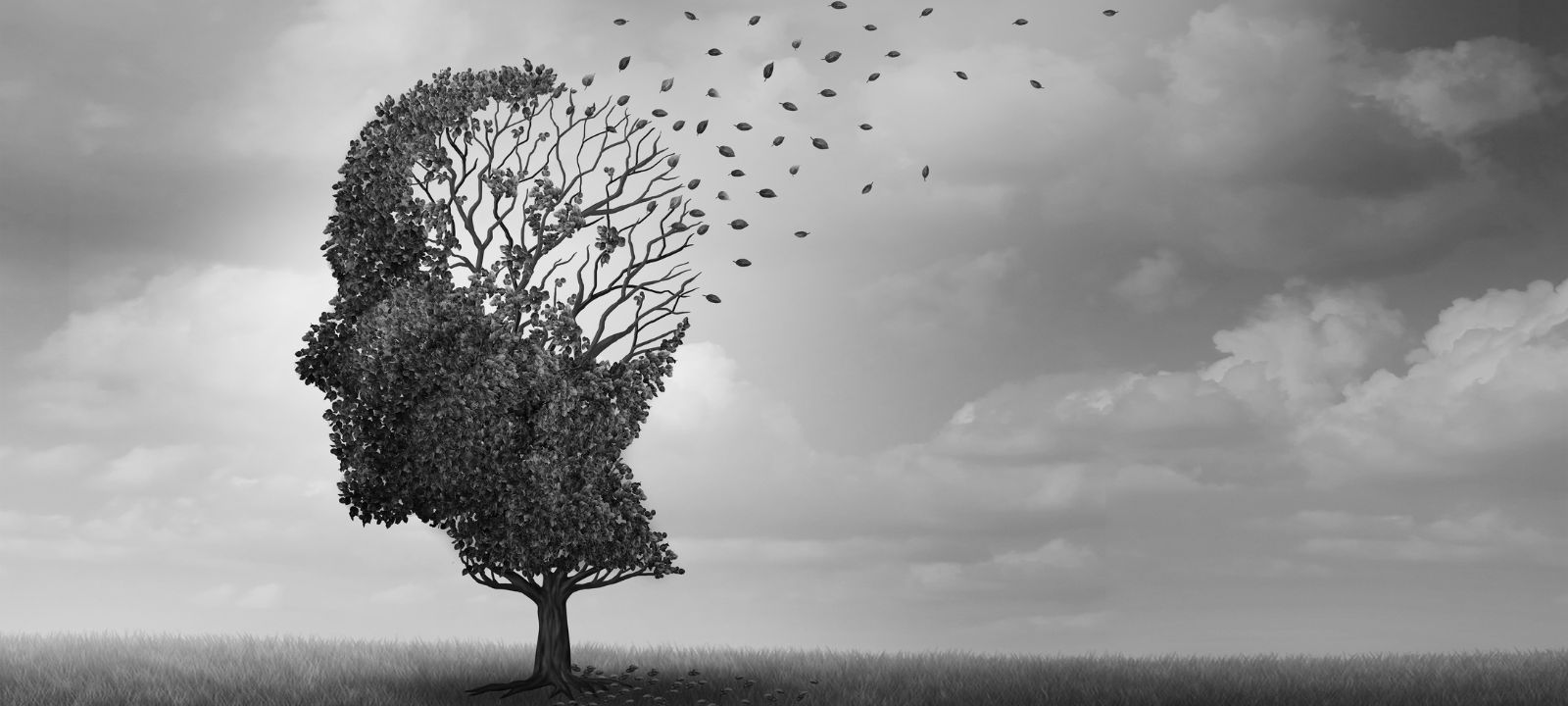 Living with Dementia: Supporting Families Through Uncertainty